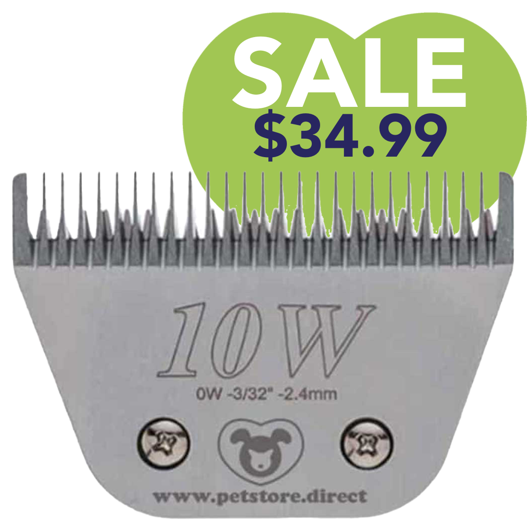 10W-wide-blade-by-petstore-direct