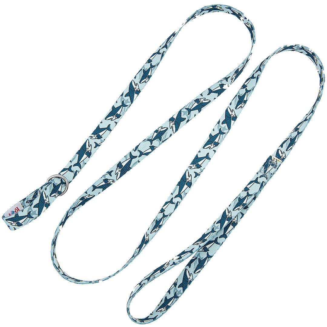 5-Slip-Lead-Leash-Blue-Sharks
