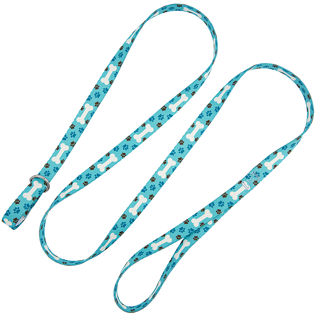 5-Slip-Lead-Leash-Light-Blue-Bones