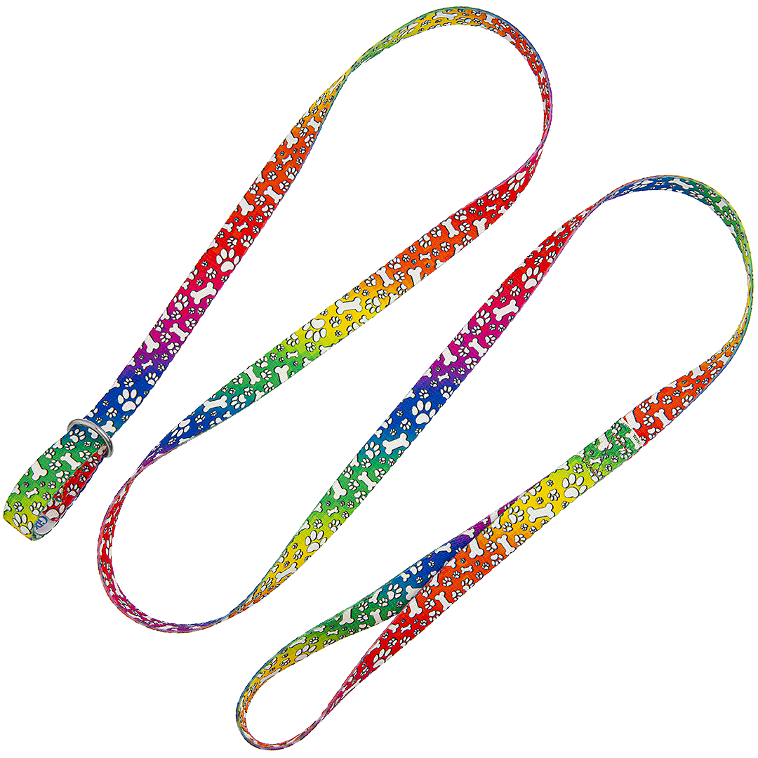 5-Slip-Lead-Leash-Rainbow-Bones