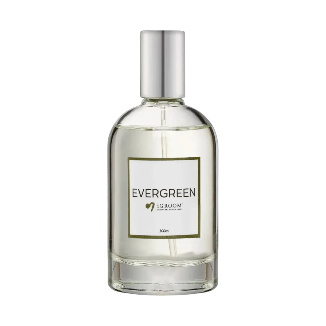 Evergreen_Perfume_100ml_by_iGroom