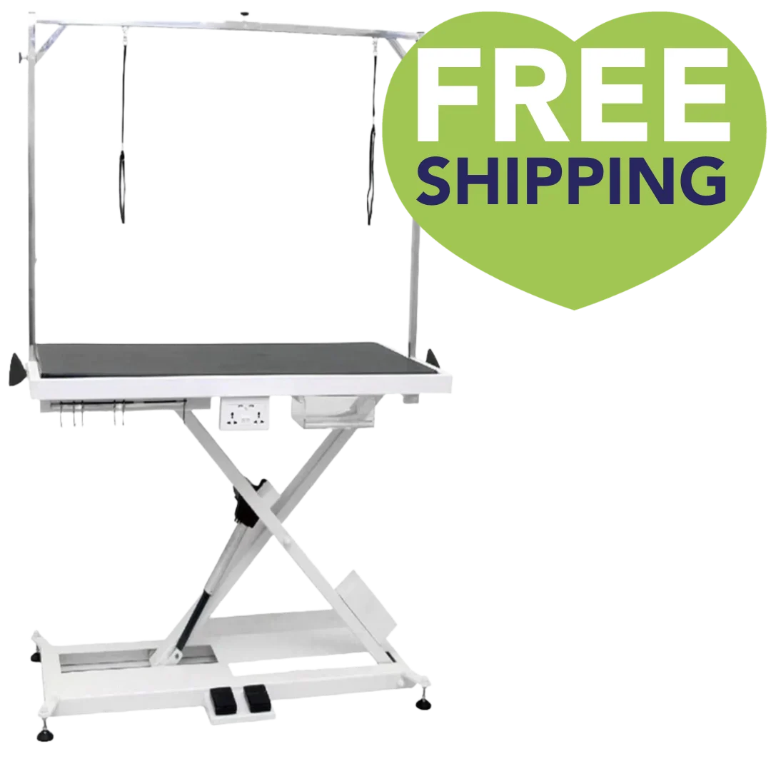X-Style_Electric_Lifting_Table_-_49_Top_PetStore.Direct