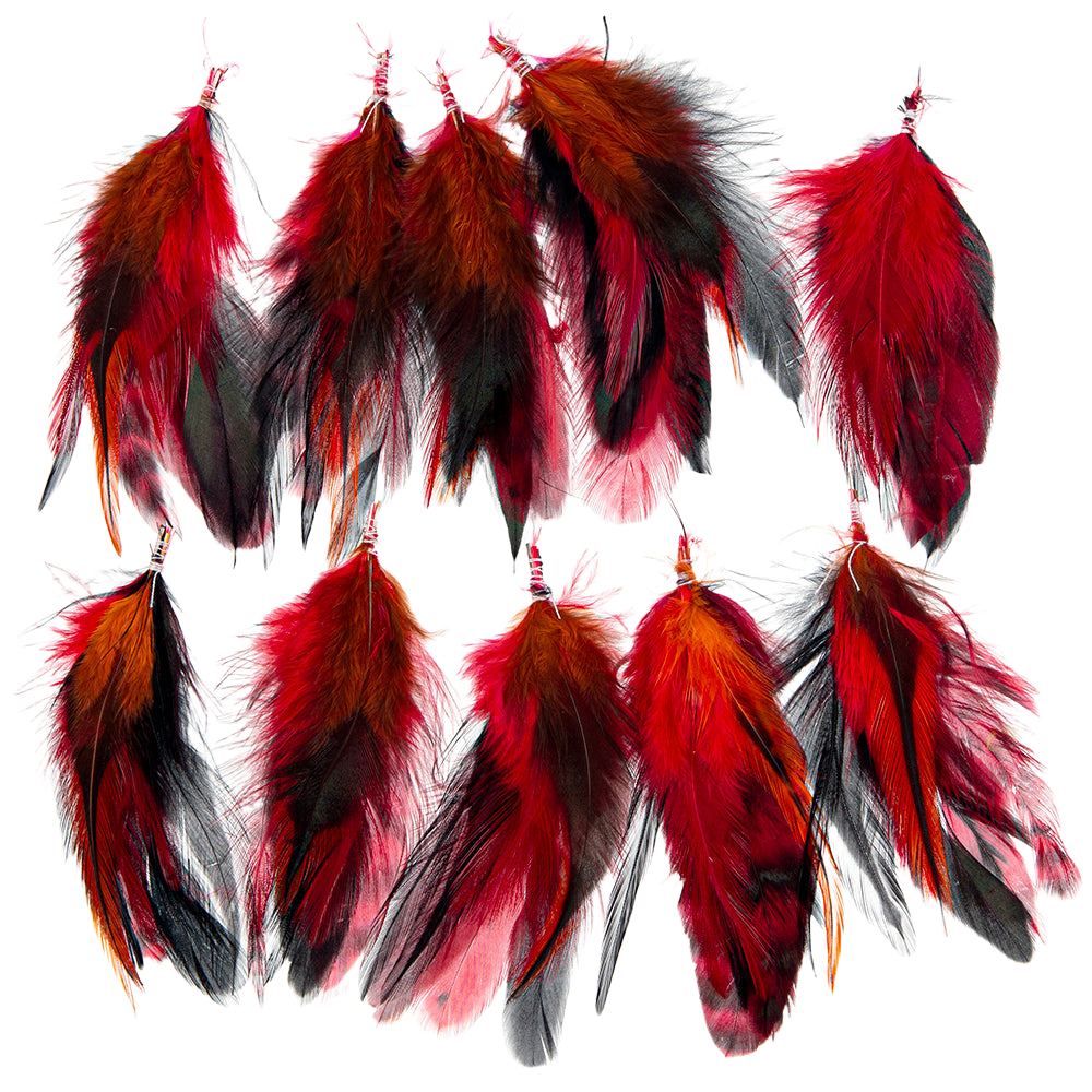 a-creative-collection-feather-extension-flame-pack-of-10-for-dog