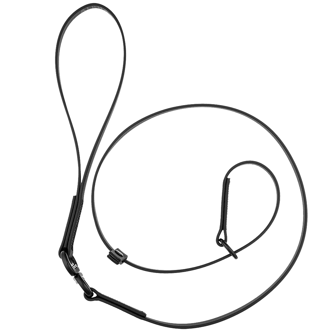 alpha-grooming-black-swivel-slip-lead