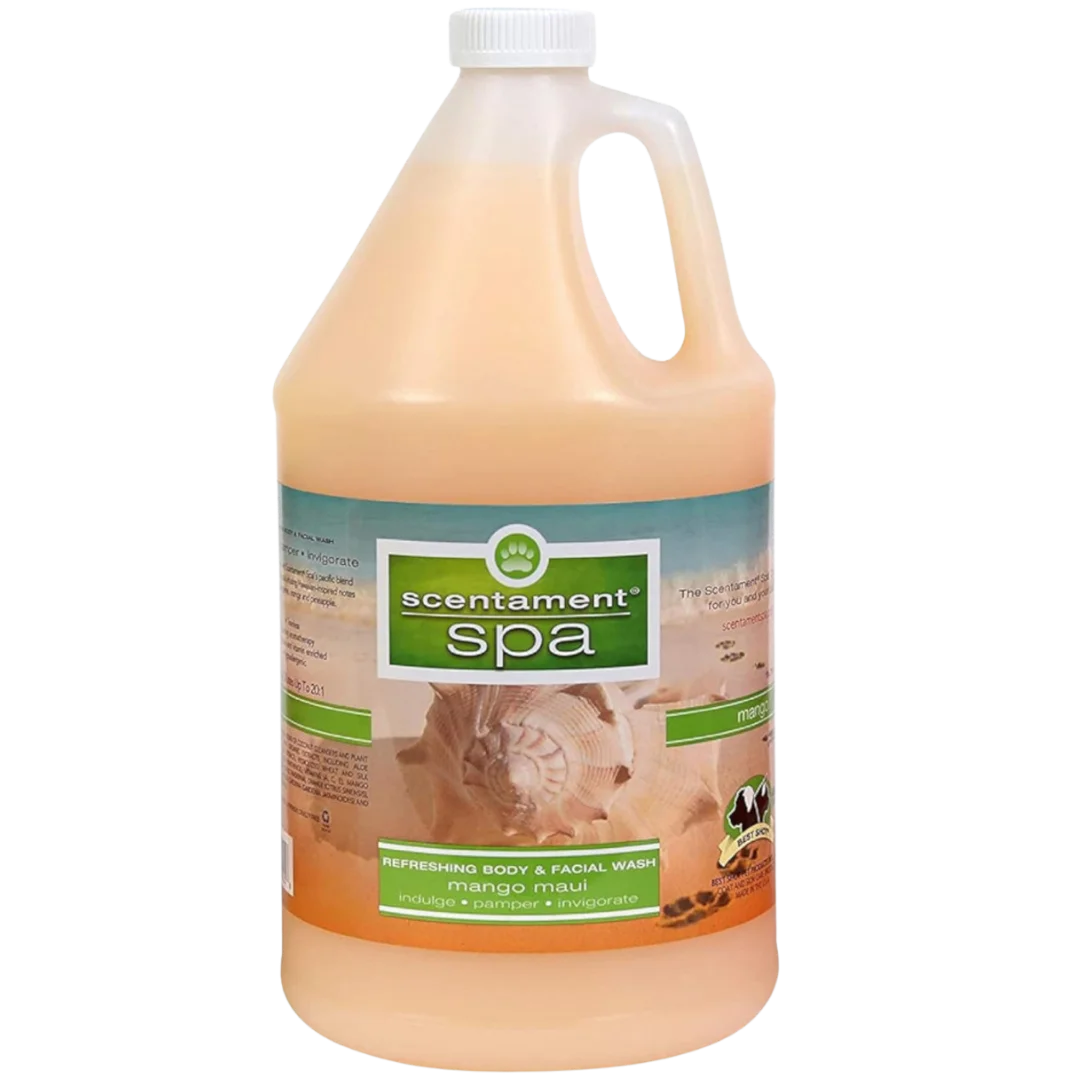 best-shot-mango-maui-shampoo-1gallon-scentament-spa
