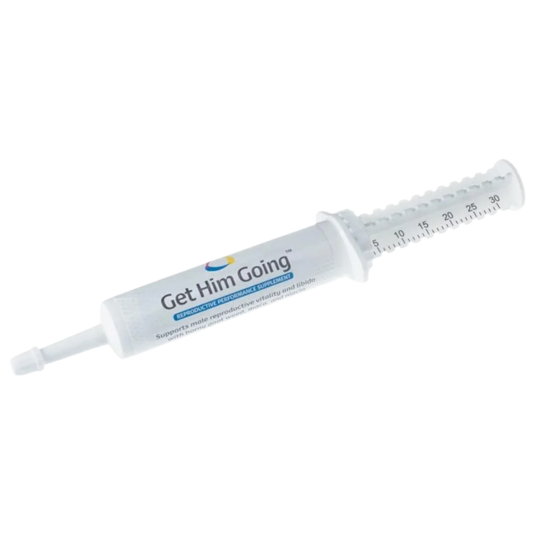 breeders-edge-get-him-going-30ml-male-reproductive-performance-for-dogs-and-cats