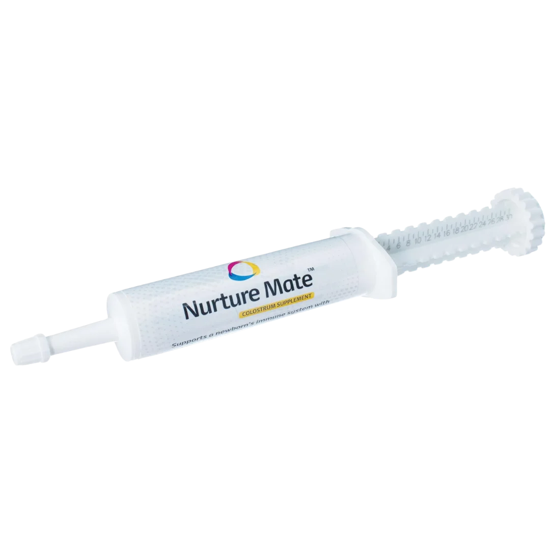 breeders-edge-nurture-mate-for-puppies-kittens-30ml