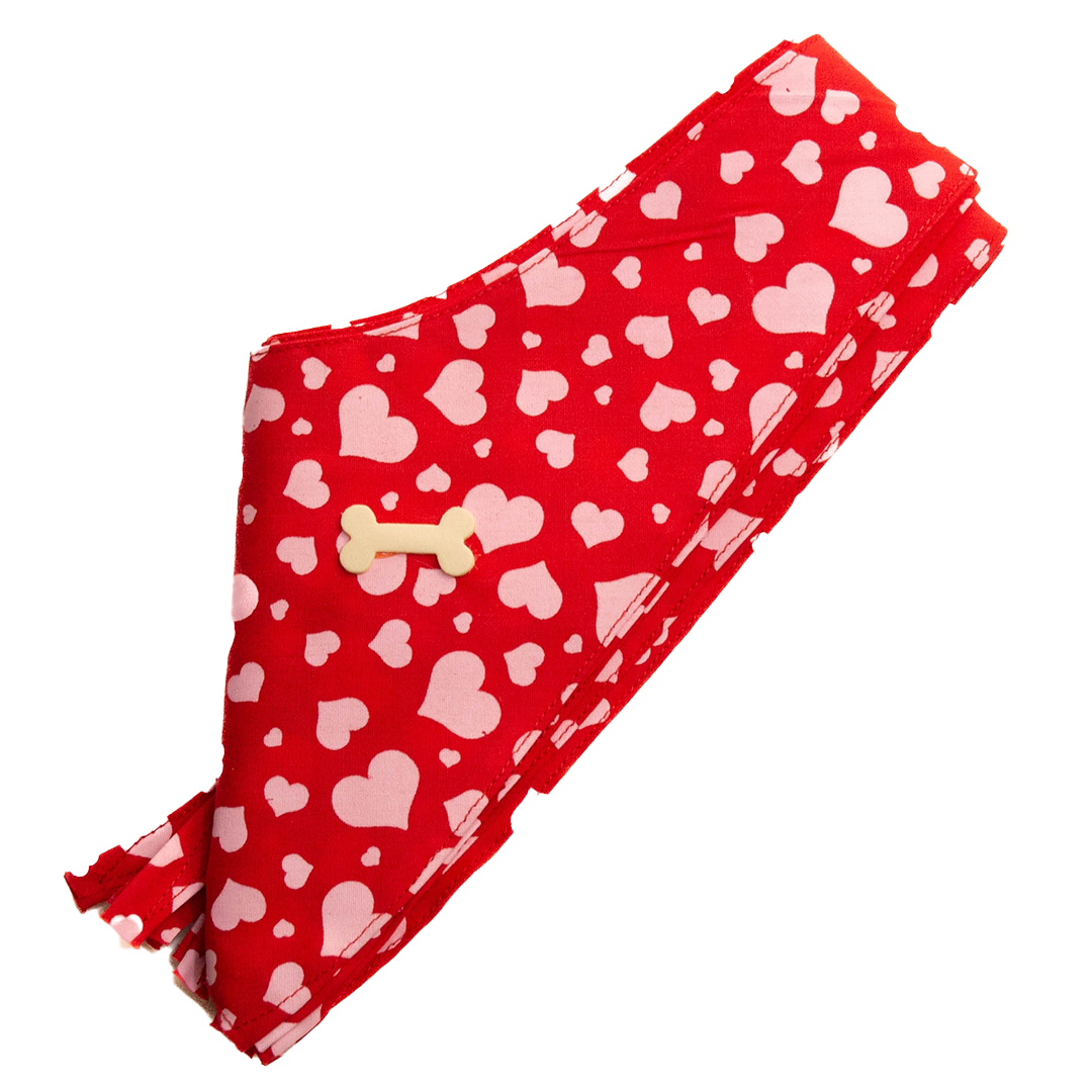 cecilia-bows-dog-bandana-neck-red-heart