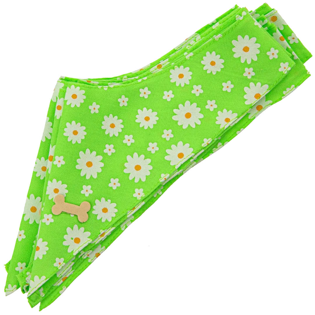 dog-bandana-design-78-by-cecilia-set-of-10