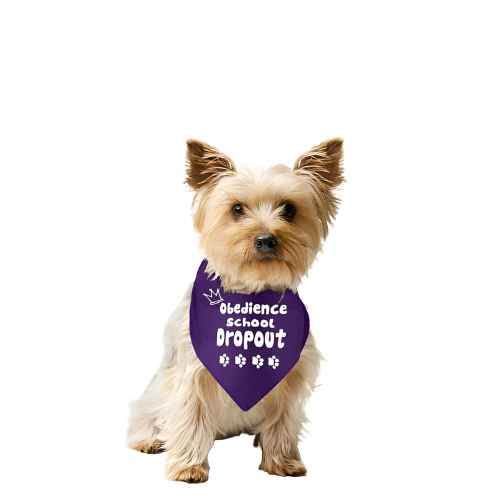 dog-fashion-living-bandana-for-dogs-school-1-700x700-1_2024-06-04T17_04_06.418Z