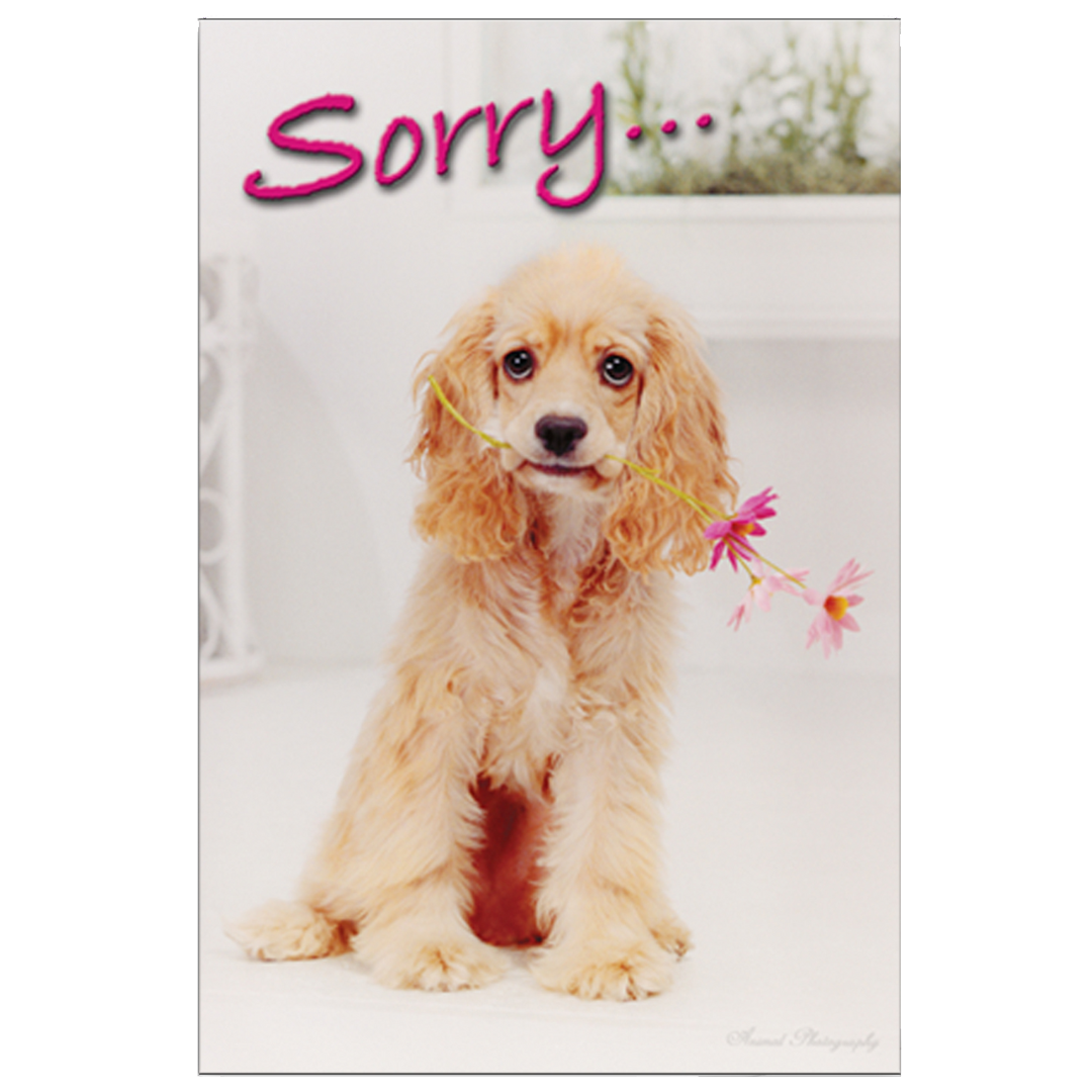dog-fashion-living-sorry-for-your-loss-grievance-card