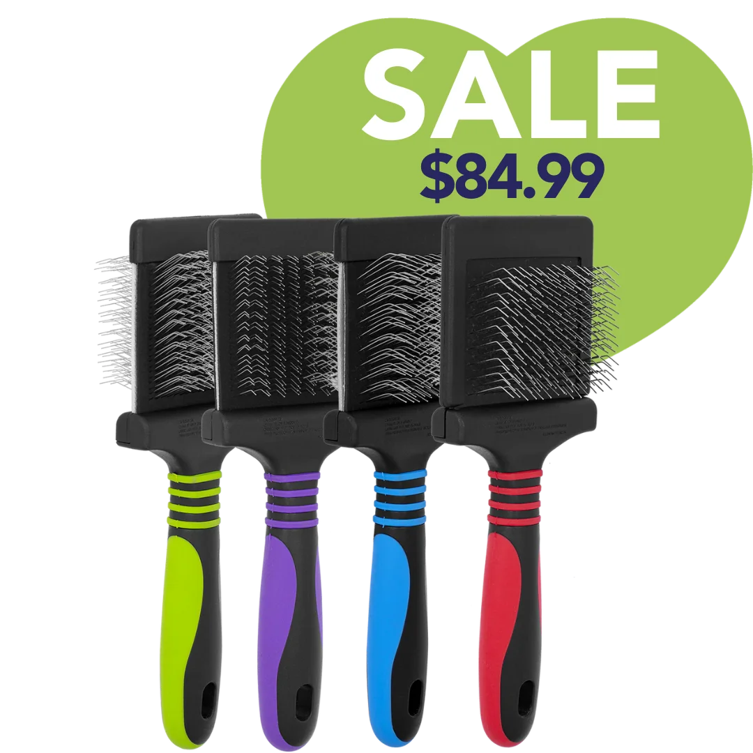 dog-fashion-spa-four-brushes