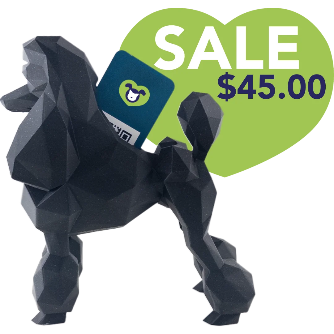 kumpe3d-poodle-card-holder-sparkle-onyx-black