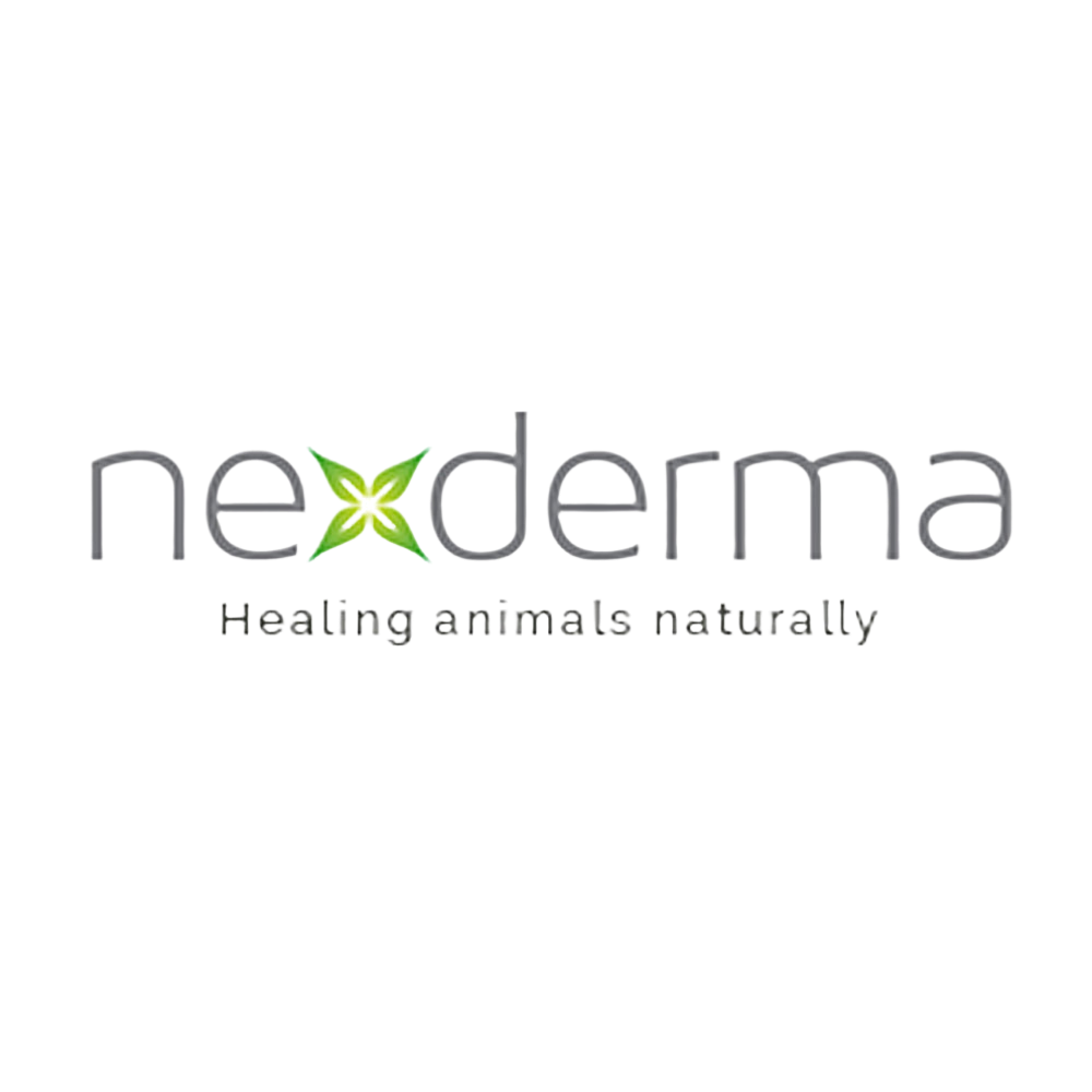 nexderma-logo_2024-06-26T18_49_16.142Z