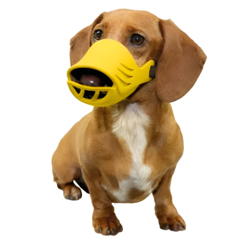 products-artero-silicone-dog-muzzle-for-grooming