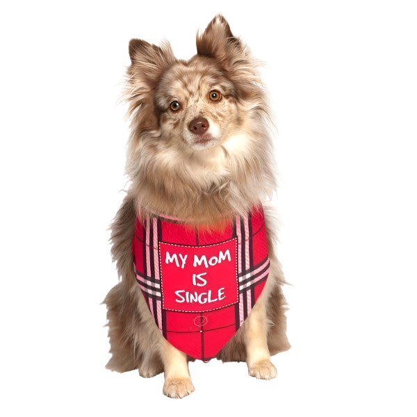 products-single-dog-mom-bandana-present_2024-06-04T16_13_22.635Z